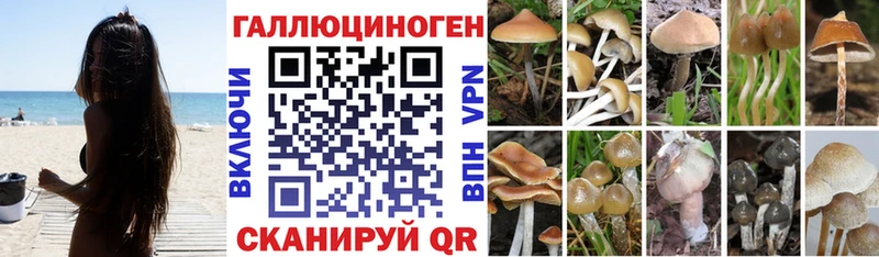 Псилоцибиновые грибы мицелий Купить закладки Верхнеуральск